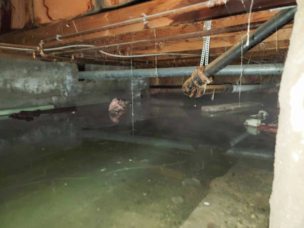Best Water damage restoration near me  in Marshallton, PA