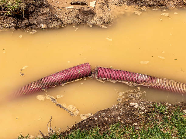 Best Water damage restoration cost  in Marshallton, PA