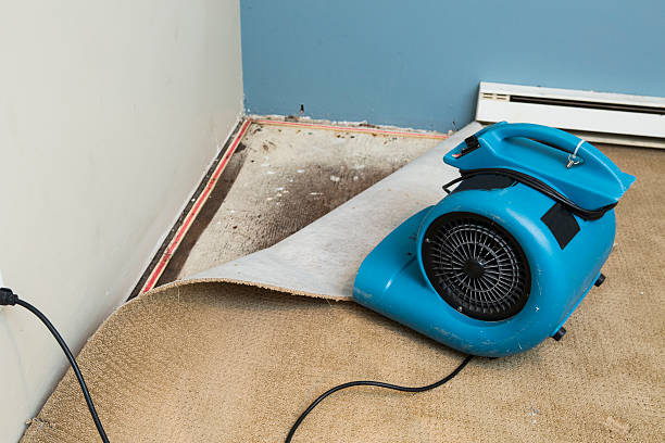 Best Sewage cleanup and water damage restoration  in Marshallton, PA